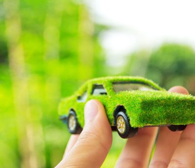Día Mundial del Medio Ambiente