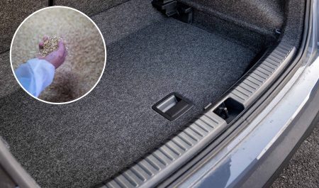 Pocos saben que el maletero de este coche esconde granos de arroz: es un modelo de una marca española