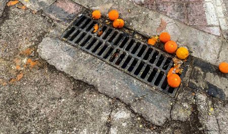 truco naranjas ladrones